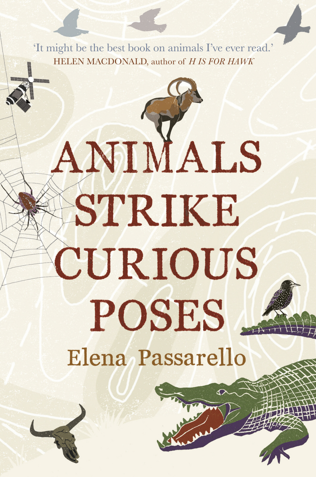 Animals Strike Curious Poses Elena Passarello