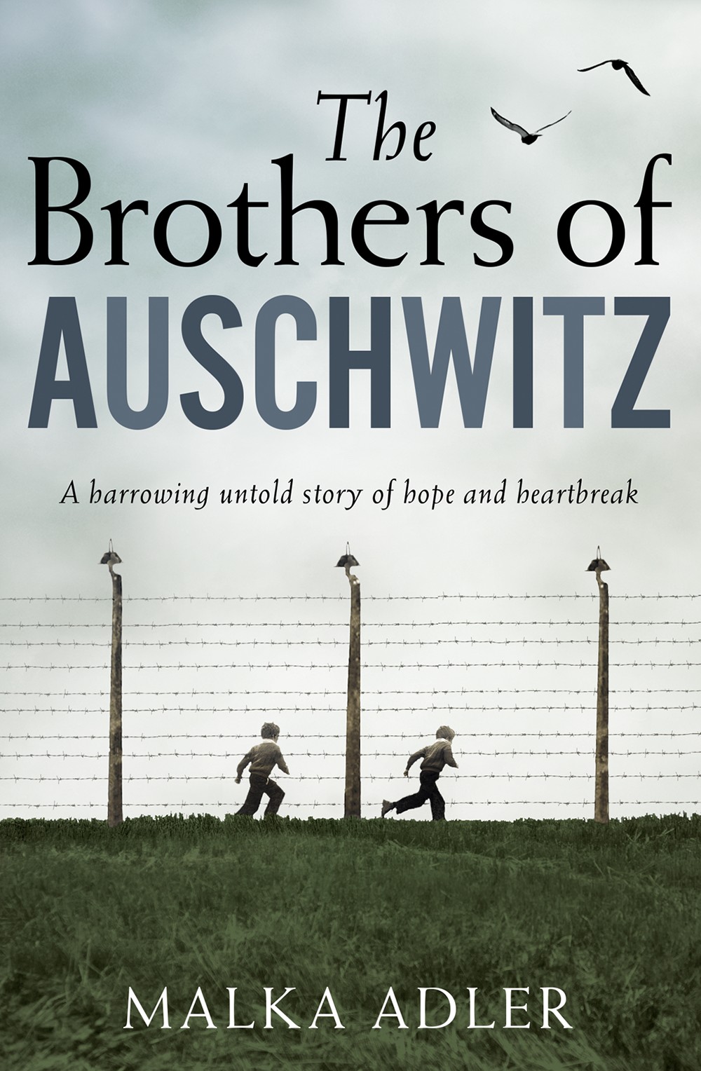 The Brothers Of Auschwitz Malka Adler