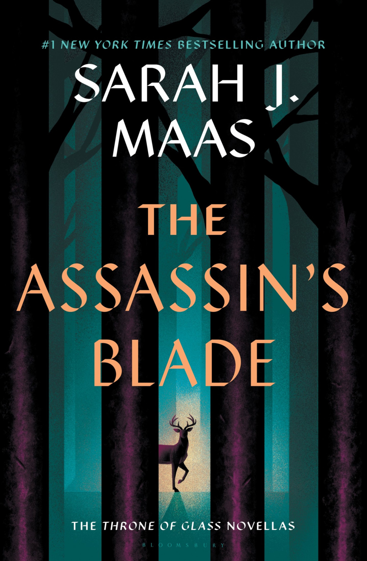 The Assassins Blade Sarah J Maas