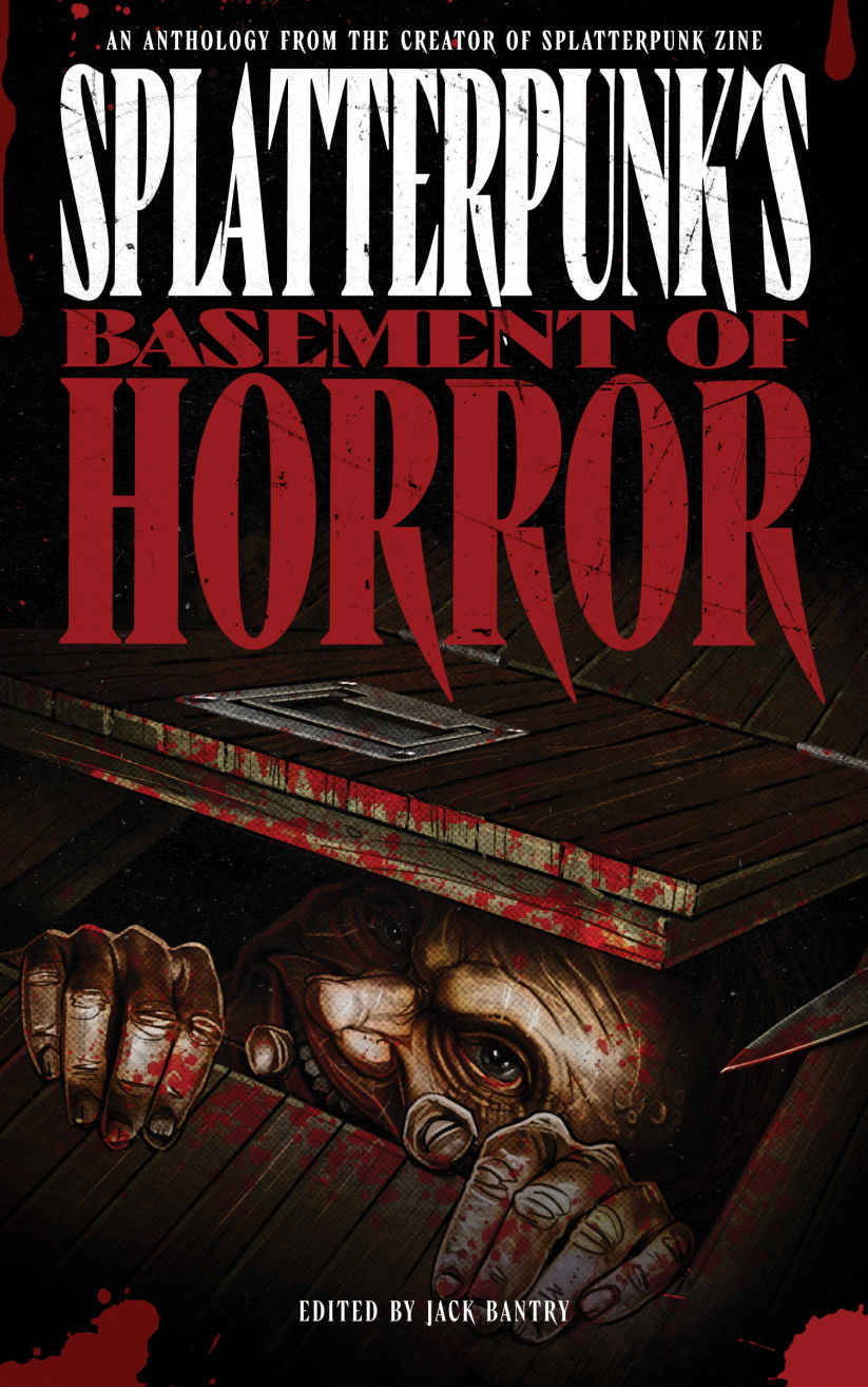 Splatterpunks Basement Of Horror Jack Bantry Jf Gonzalez Candace Nola Jeff Strand Bridgett Nelson Glenn Rolfe Brian Keene Kristopher Rufty Patrick Lacey Lucas Mangum