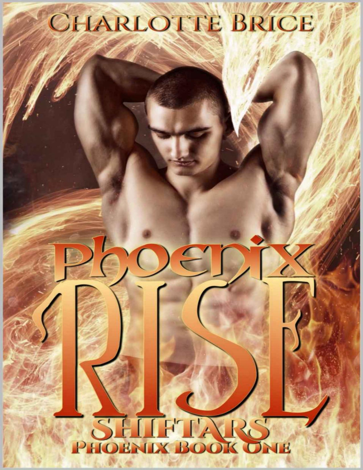 Phoenix Rise Charlotte Brice