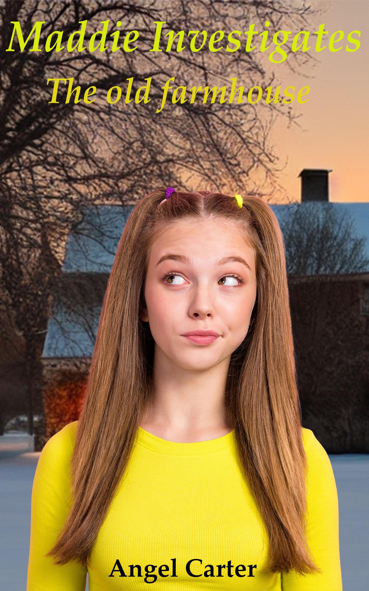 Maddie Investigates The Old Farmhouse Carter Angel