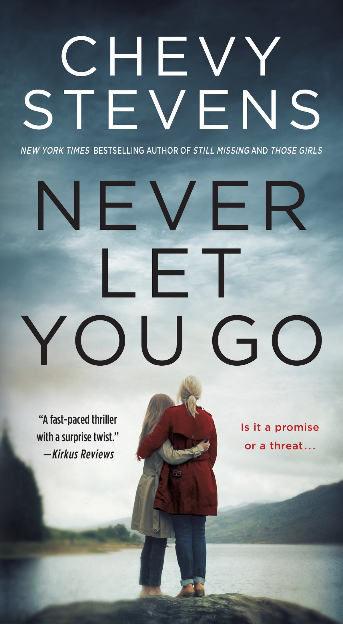 Never Let You Go Chevy Stevens