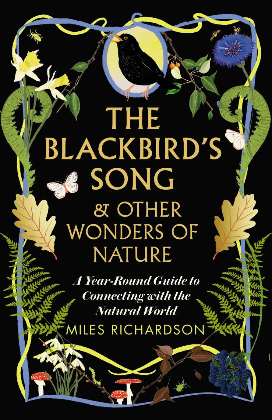 The Blackbirds Song Other Wonders Of Nature A Yearround Guide To Connecting With The Natural World Miles Richardson