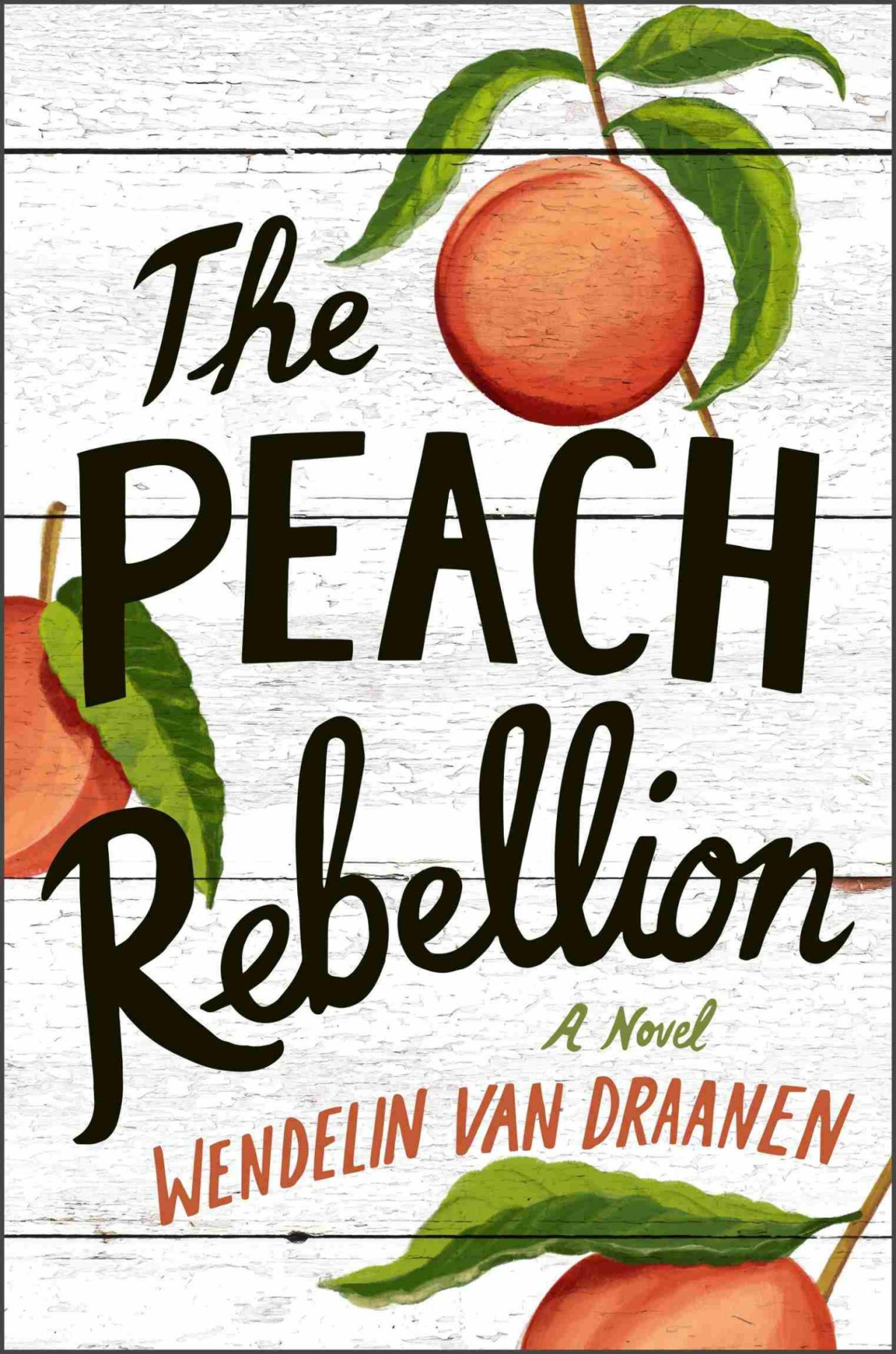The Peach Rebellion Wendelin Van Draanen