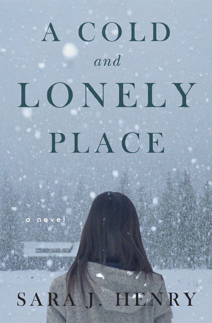 A Cold And Lonely Place Sara J Henry