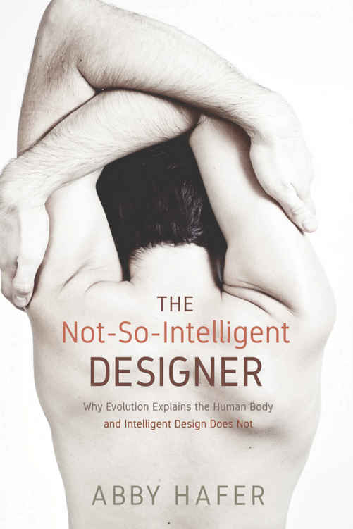The Notsointelligent Designer Why Evolution Explains The Human Body And Intelligent Design Does Not Abby Hafer