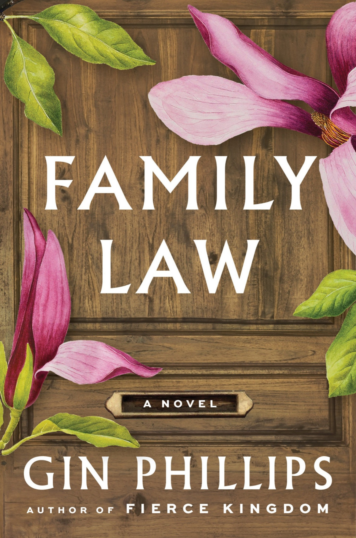Family Law A Novel Gin Phillips