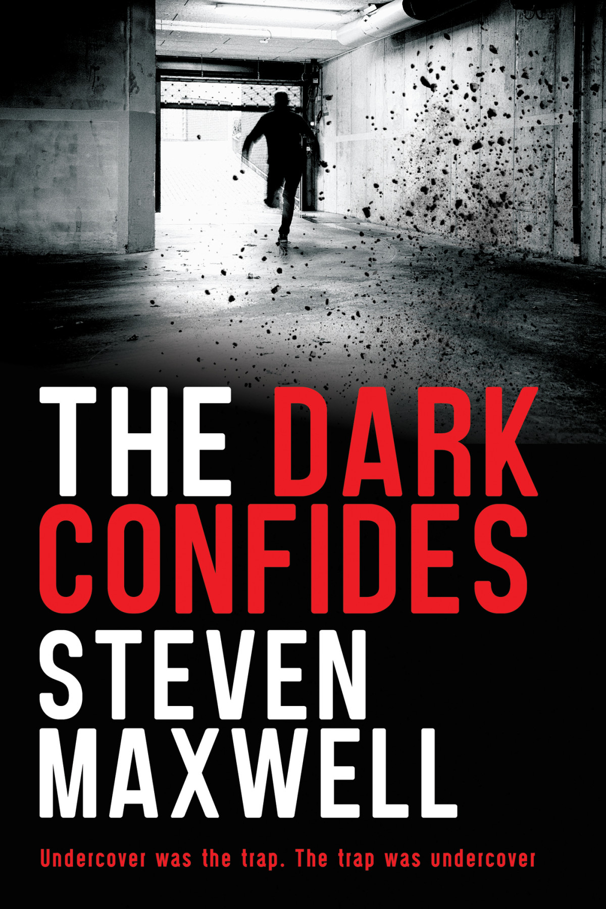 The Dark Confides Steven Maxwell