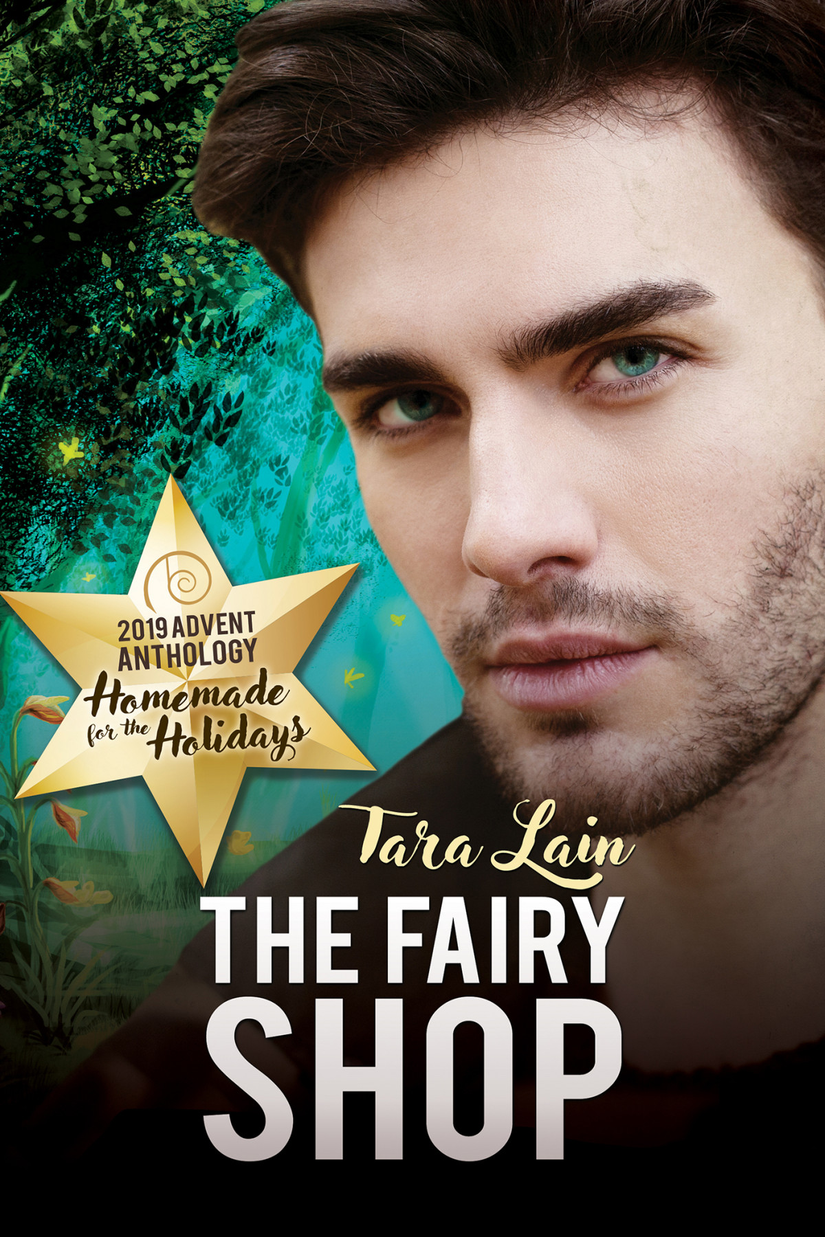The Fairy Shop Tara Lain