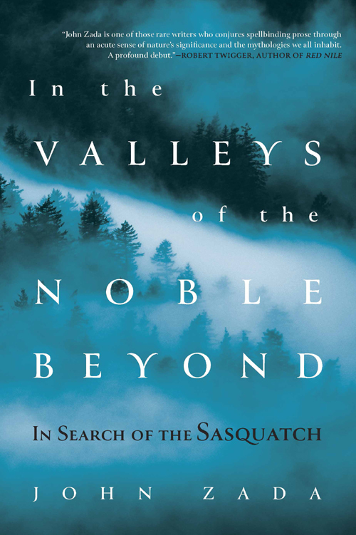 In The Valleys Of The Noble Beyond John Zada
