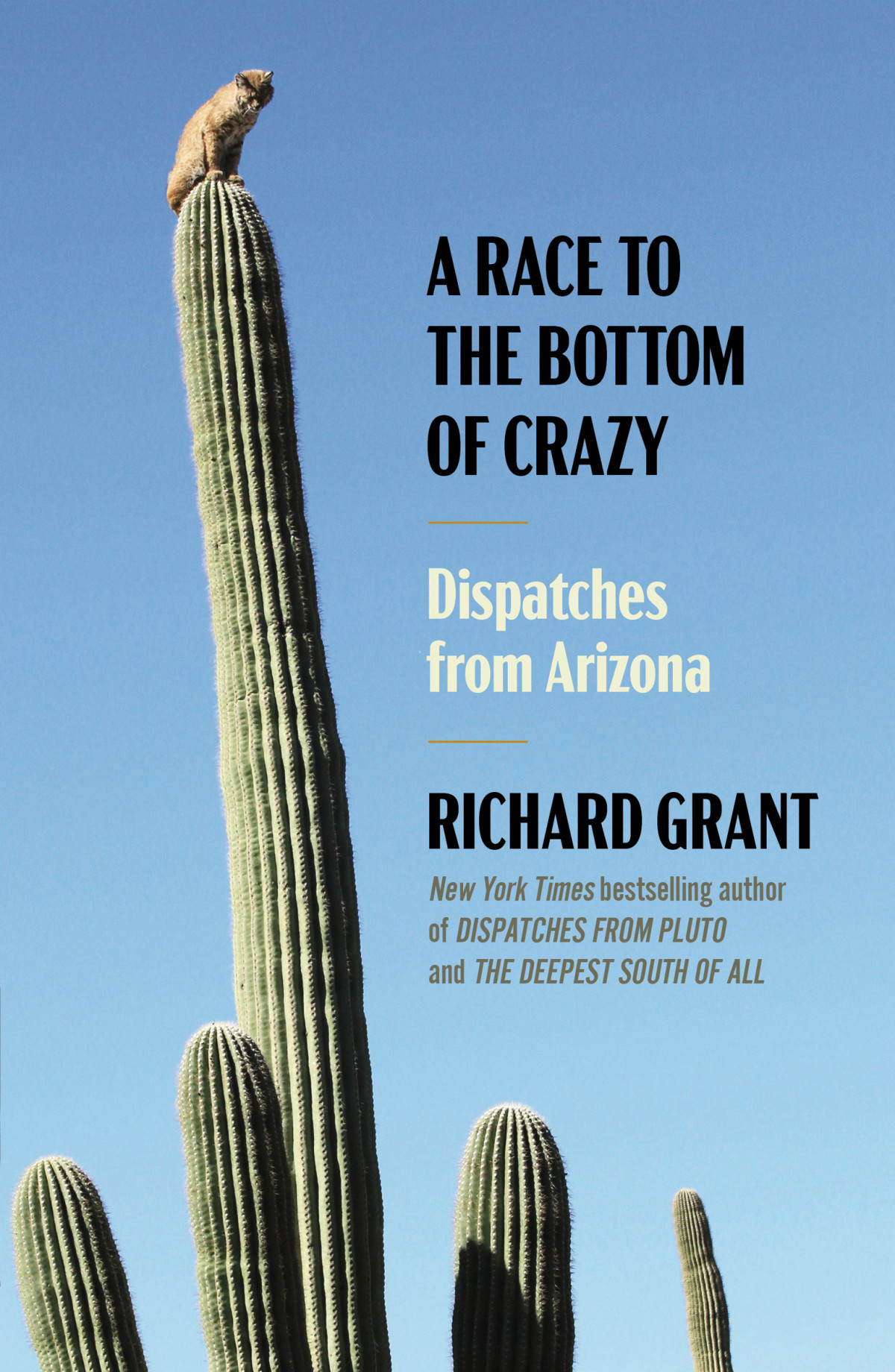 A Race To The Bottom Of Crazy Dispatches From Arizona Richard Grant