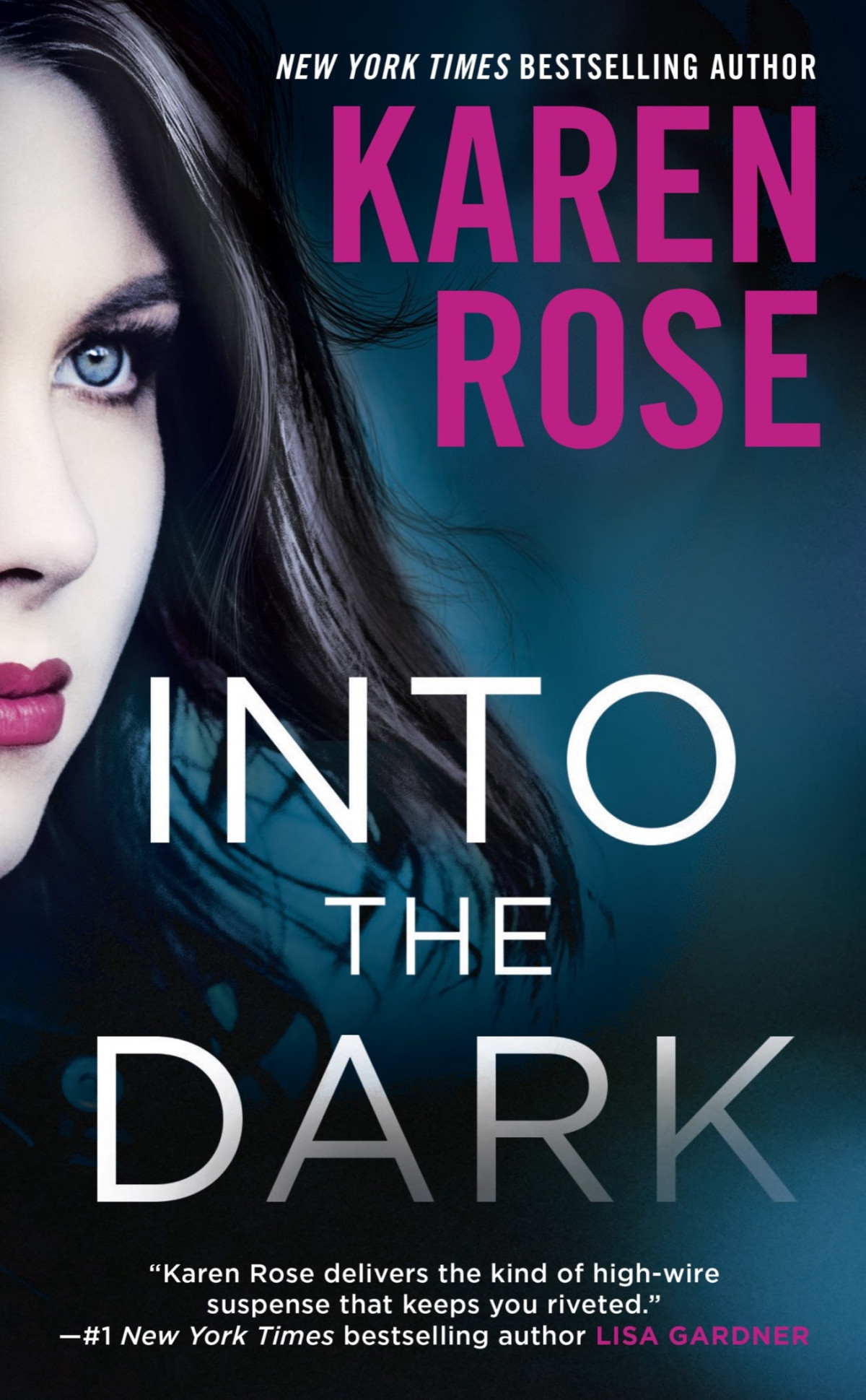 Into The Dark Karen Rose