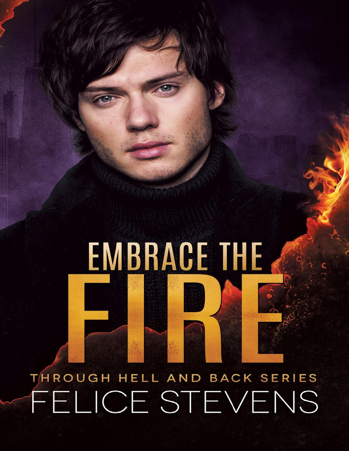 Embrace The Fire Through Hell And Back Book 3 3rd Edition Felice Stevens