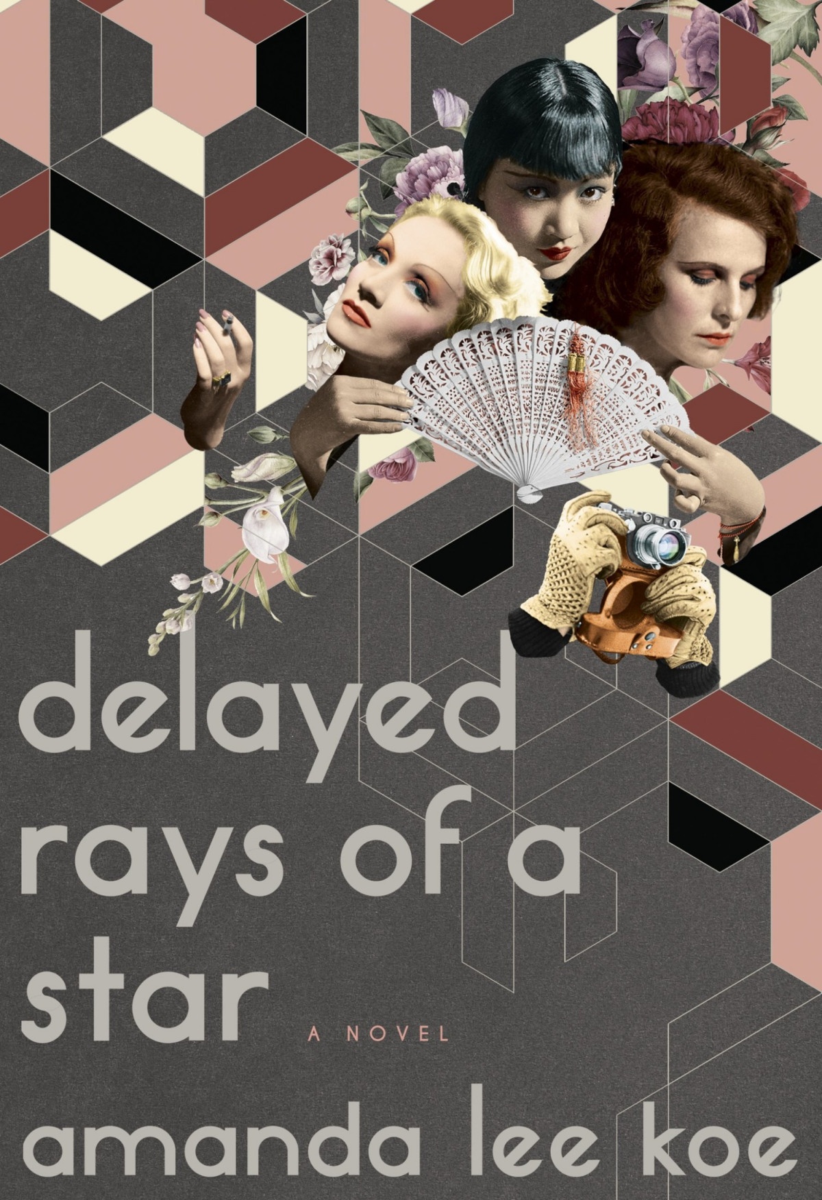 Delayed Rays Of A Star A Novel Amanda Lee Koe