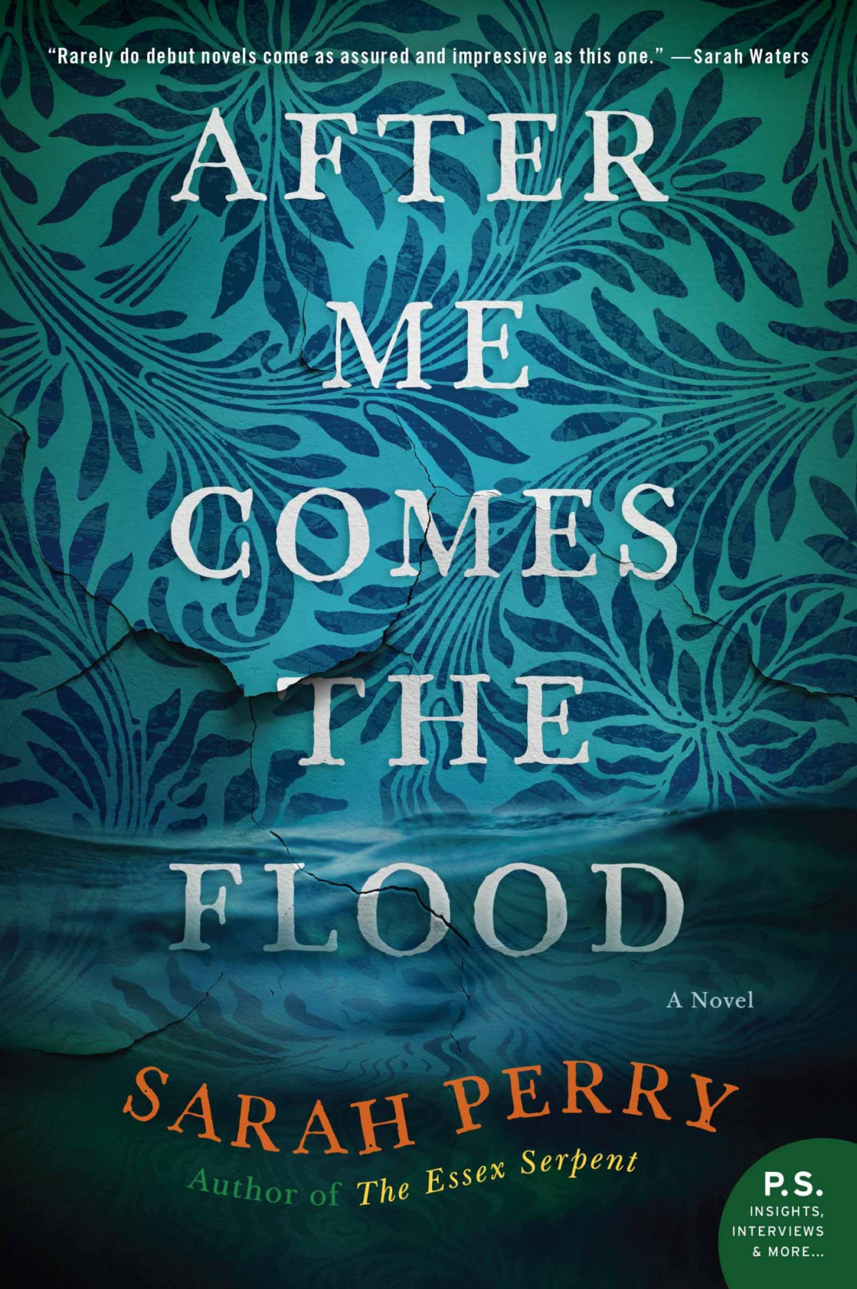 After Me Comes The Flood Sarah Perry