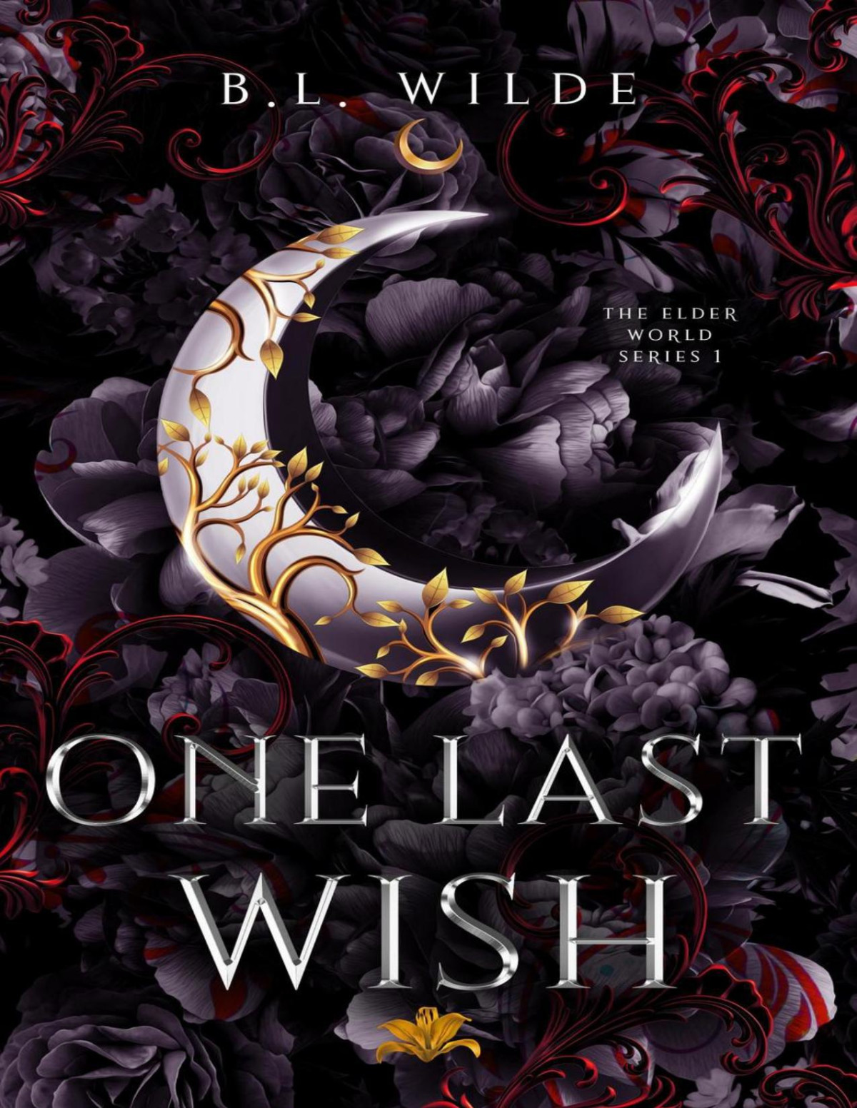 One Last Wish Blwilde