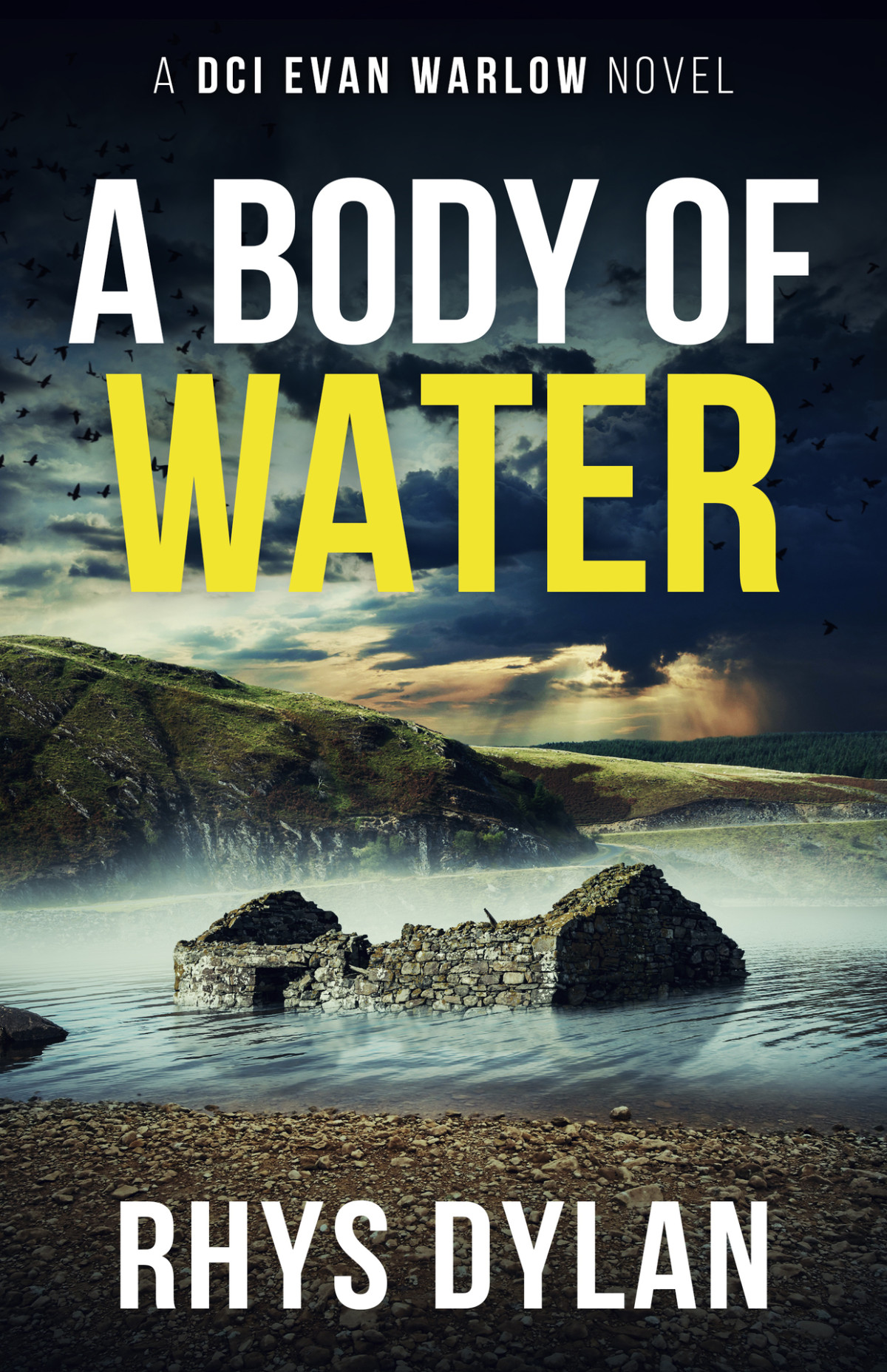 A Body Of Water A Dci Evan Warlow Novel Rhys Dylan