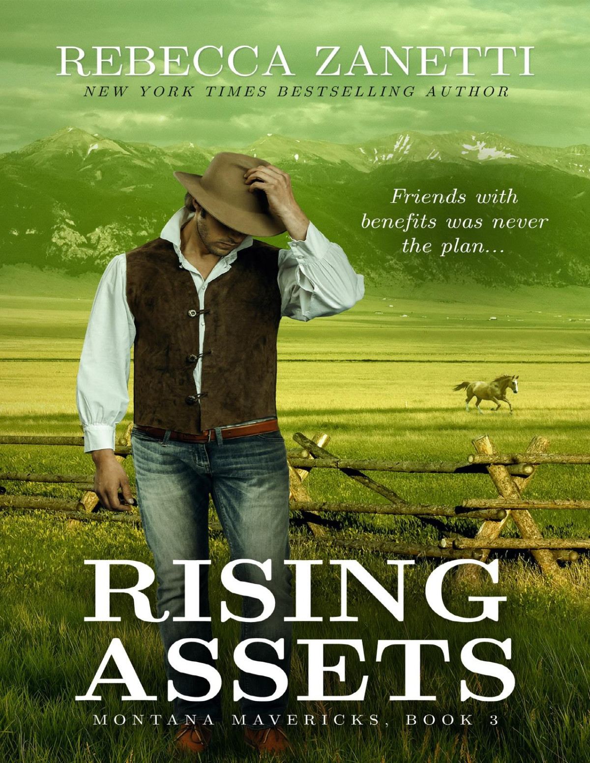 Rising Assets Montana Mavericks 3 Rebecca Zanetti