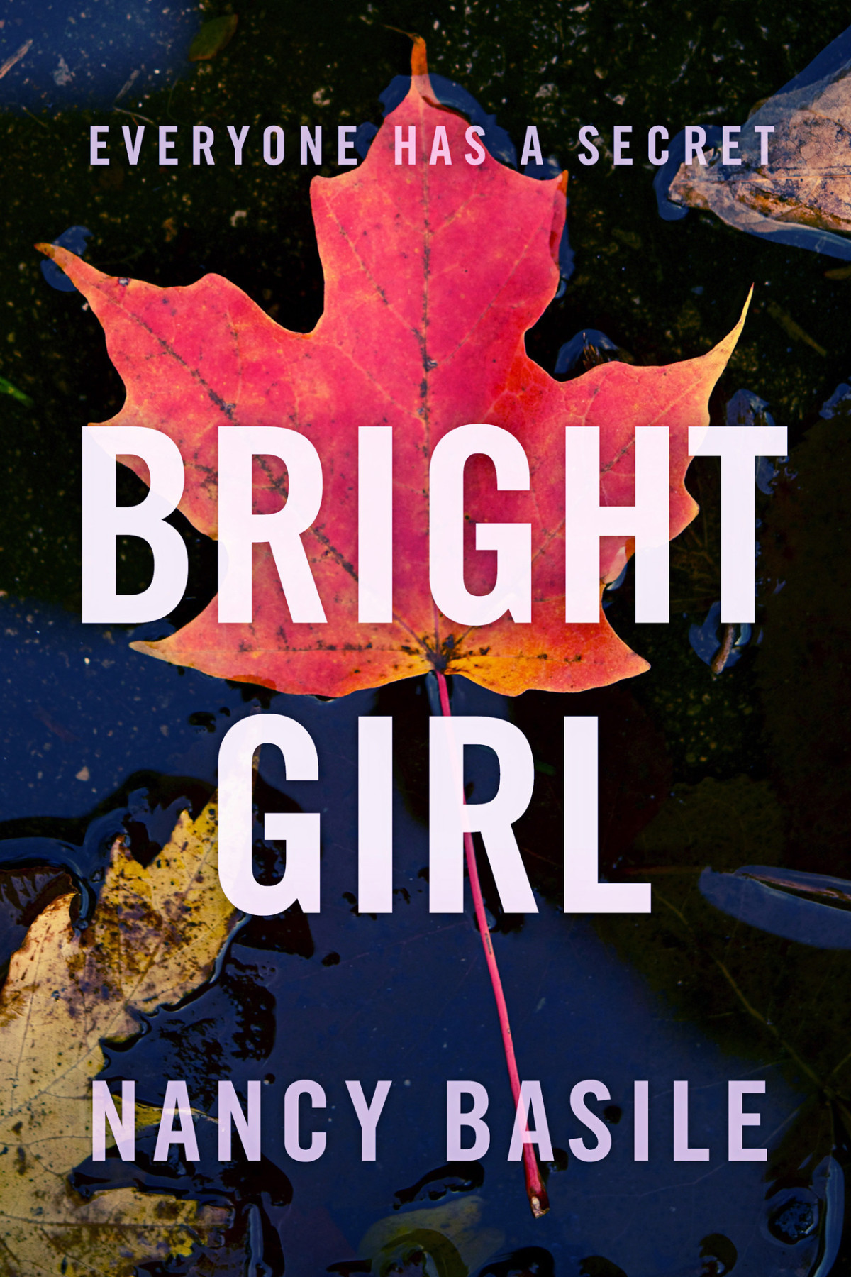 Bright Girl A Detective Murder Mystery Full Of Suspense Nancy Basile