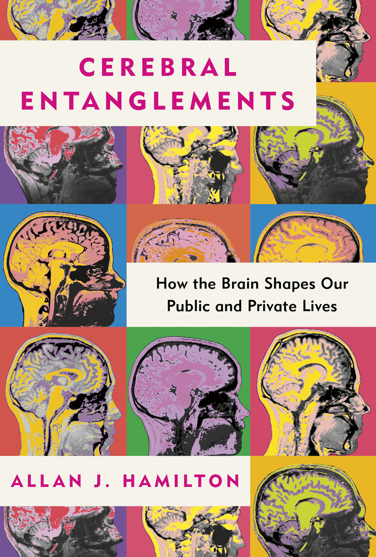 Cerebral Entanglements How The Brain Shapes Our Public And Private Lives Allan J Hamilton