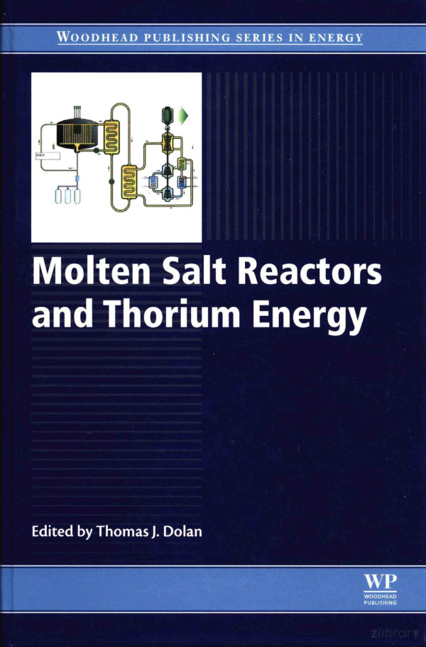 Molten Salt Reactors And Thorium Energy 2017th Edition Thomas Jdolan