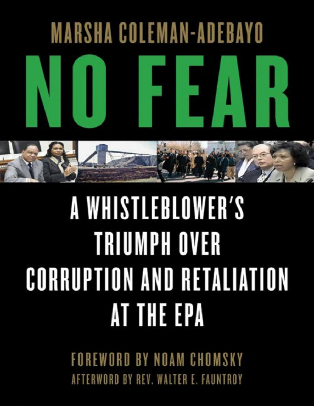 No Fear A Whistleblowers Triumph Over Corruption And Retaliation At The Epa Marsha Colemanadebayo Noam Chomsky