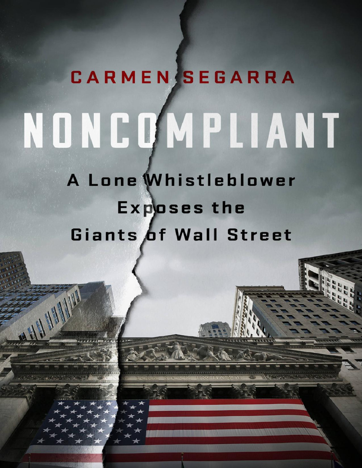 Noncompliant A Lone Whistleblower Exposes The Giants Of Wall Street Carmen Segarra
