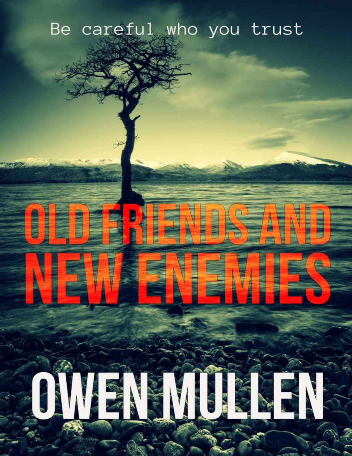 Old Friends And New Enemies An Explosive Crime Thriller Owen Mullen
