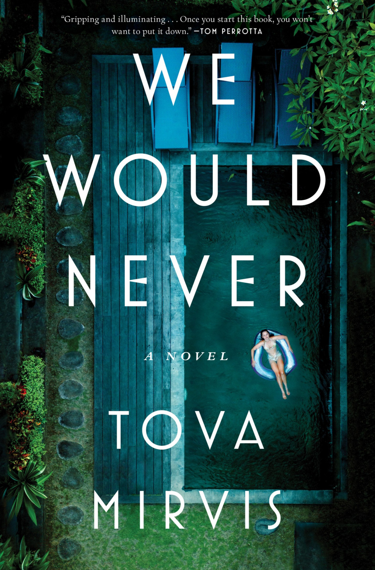 We Would Never Tova Mirvis