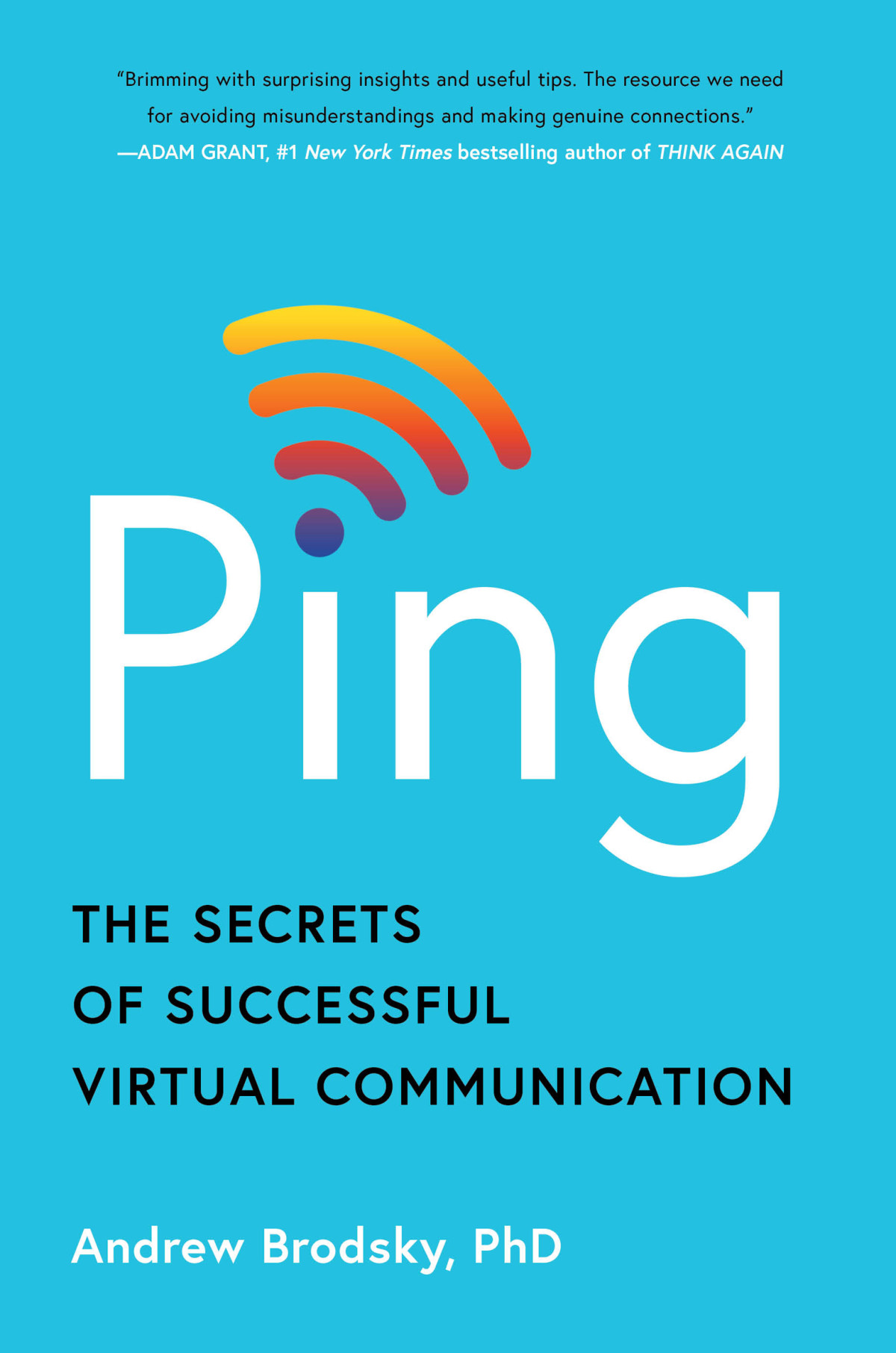 Ping The Secrets Of Successful Virtual Communication Andrew Brodsky
