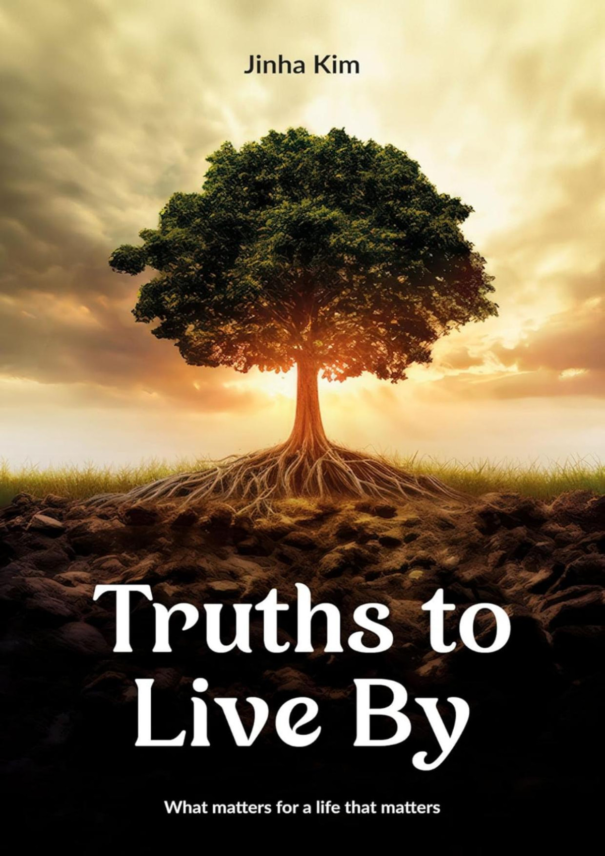 Truths To Live By What Matters For A Life That Matters Jinha Kim