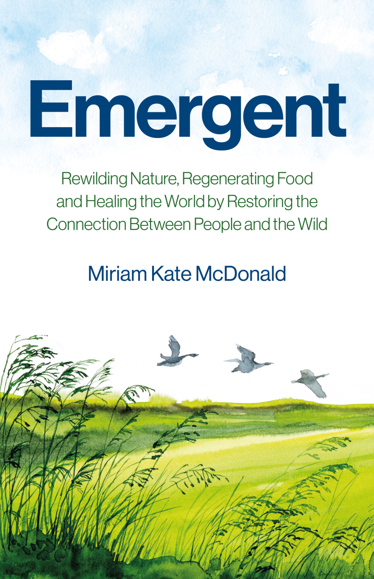 Emergent 4th Edition Miriam Kate Mcdonald