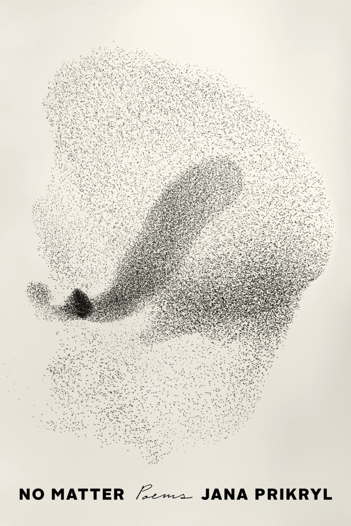 No Matter Poems Jana Prikryl