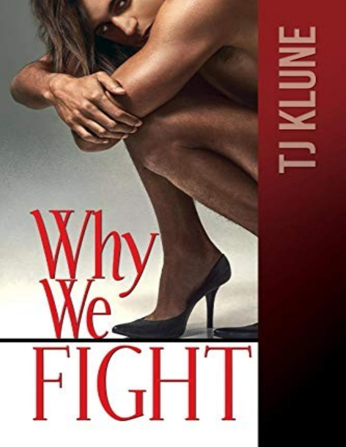 At First Sight 4 Why We Fight Tj Klune