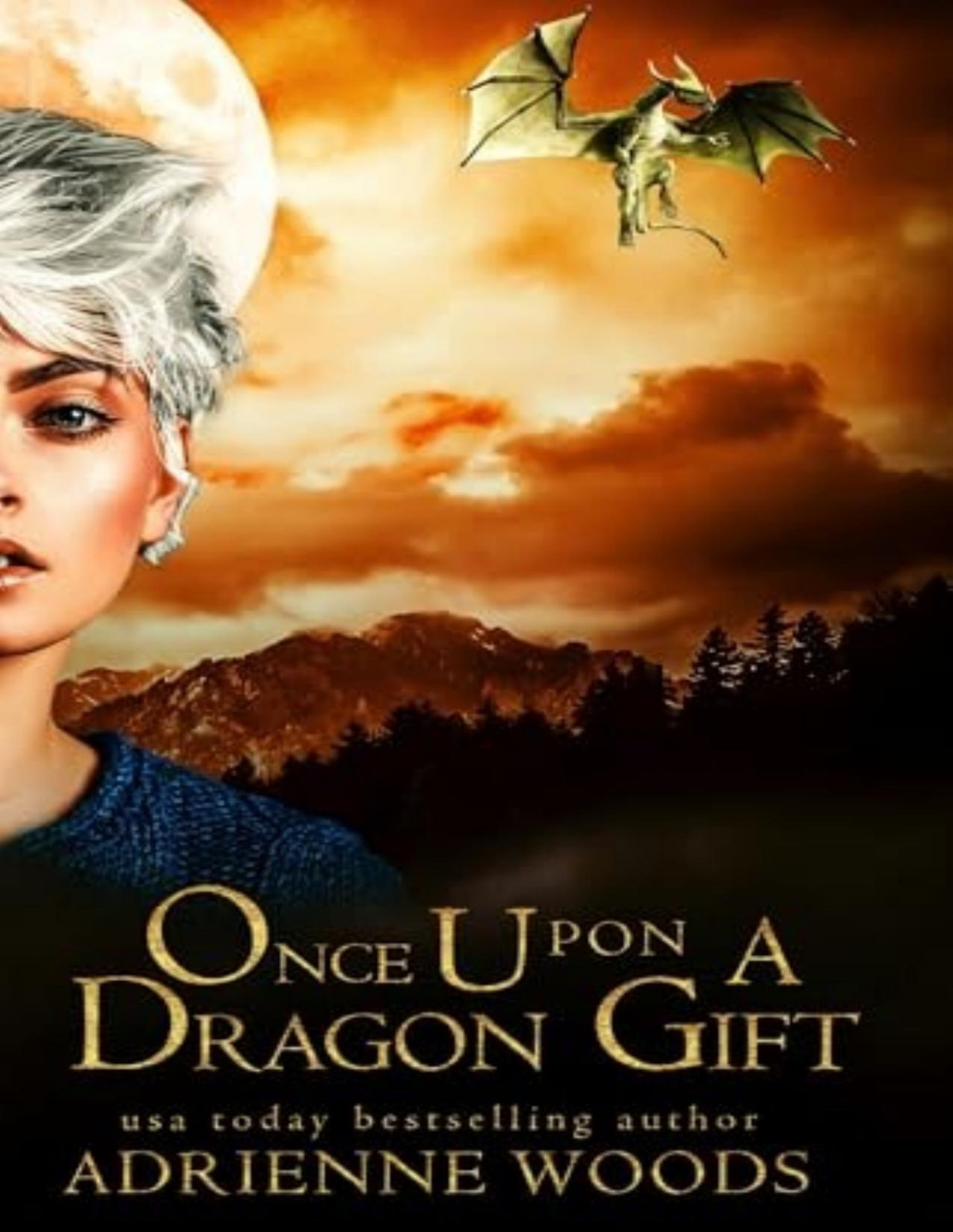 Once Upon A Dragon 4 Once Upon A Dragon Gift Adrienne Woods