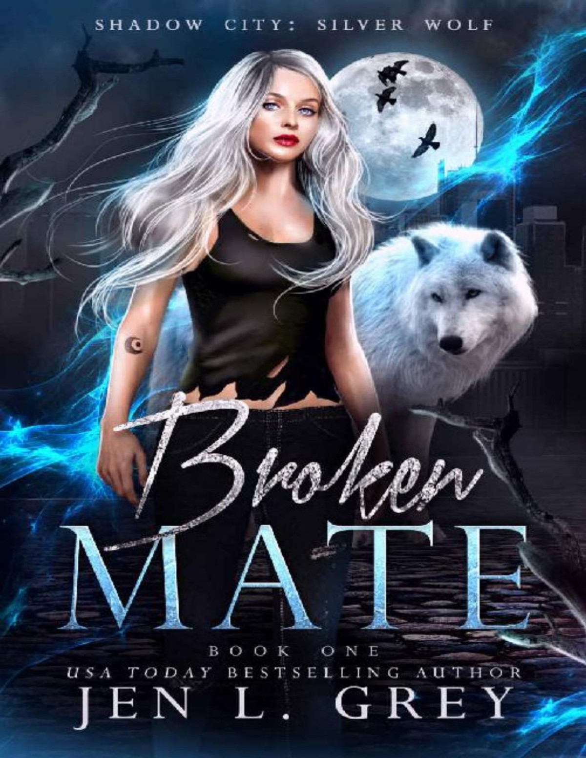 Shadow City Silver Wolf 1 Broken Mate Jen L Grey