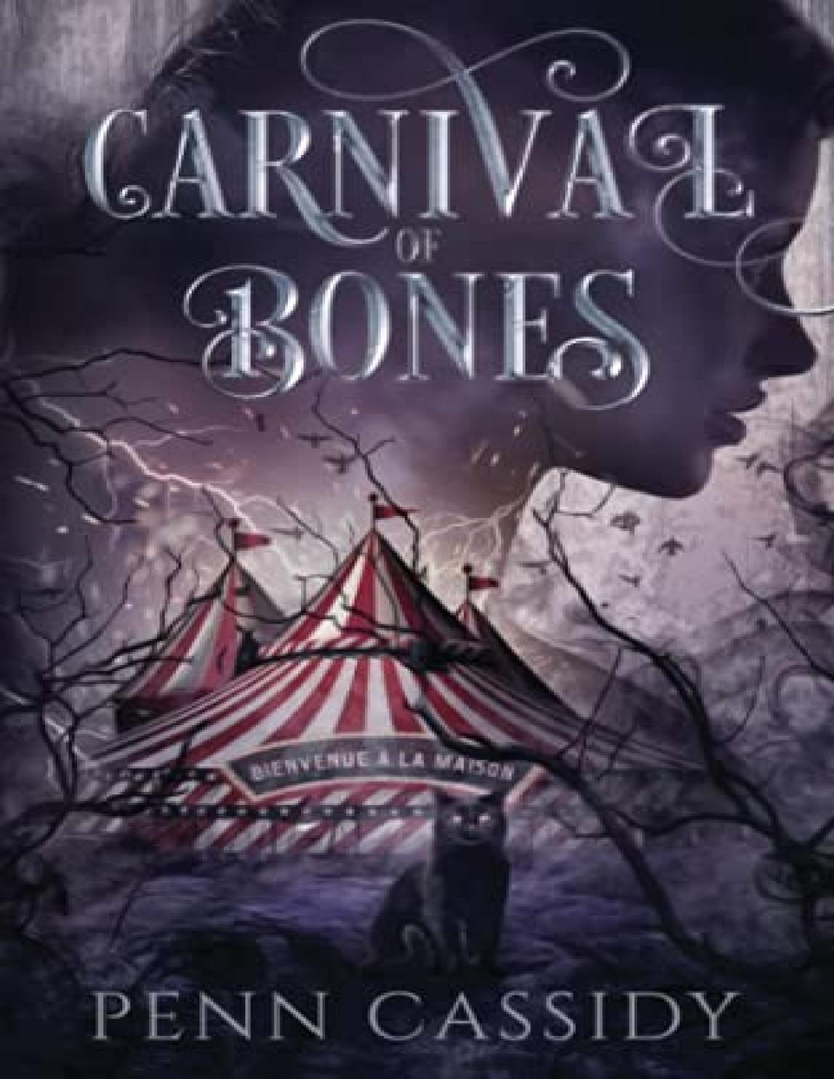 Carnival Of Bones Duet 1 Carnival Of Bones Penn Cassidy