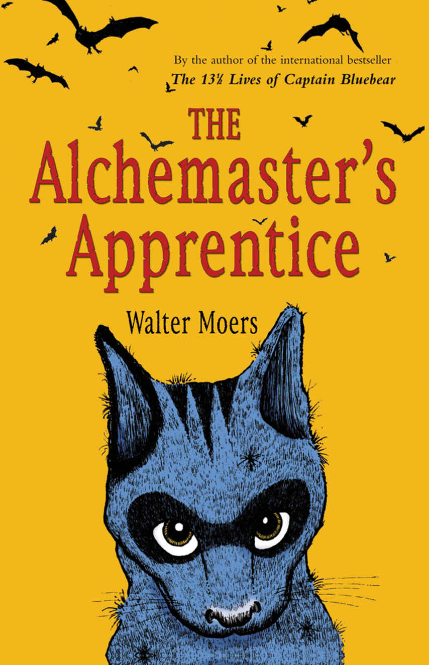 The Alchemasters Apprentice A Novel Walter Moers