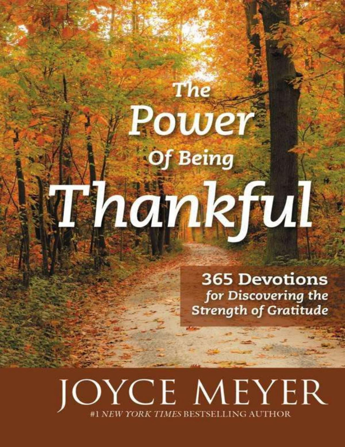 The Power Of Being Thankful 365 Devotions For Discovering The Strength Of Gratitude Joyce Meyer