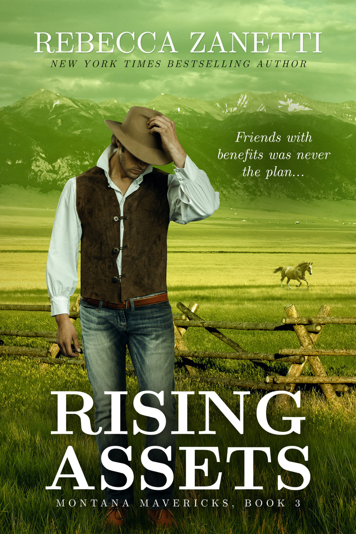 Rising Assets Montana Mavericks Book 3 Rebecca Zanetti