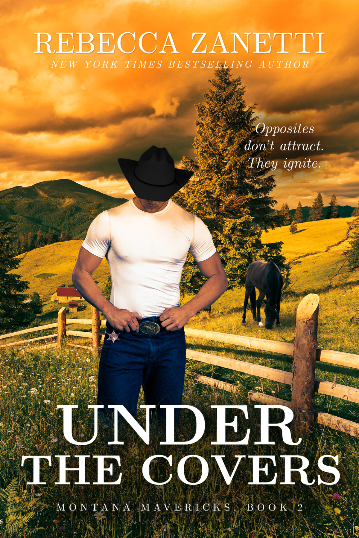 Under The Covers Rebecca Zanetti