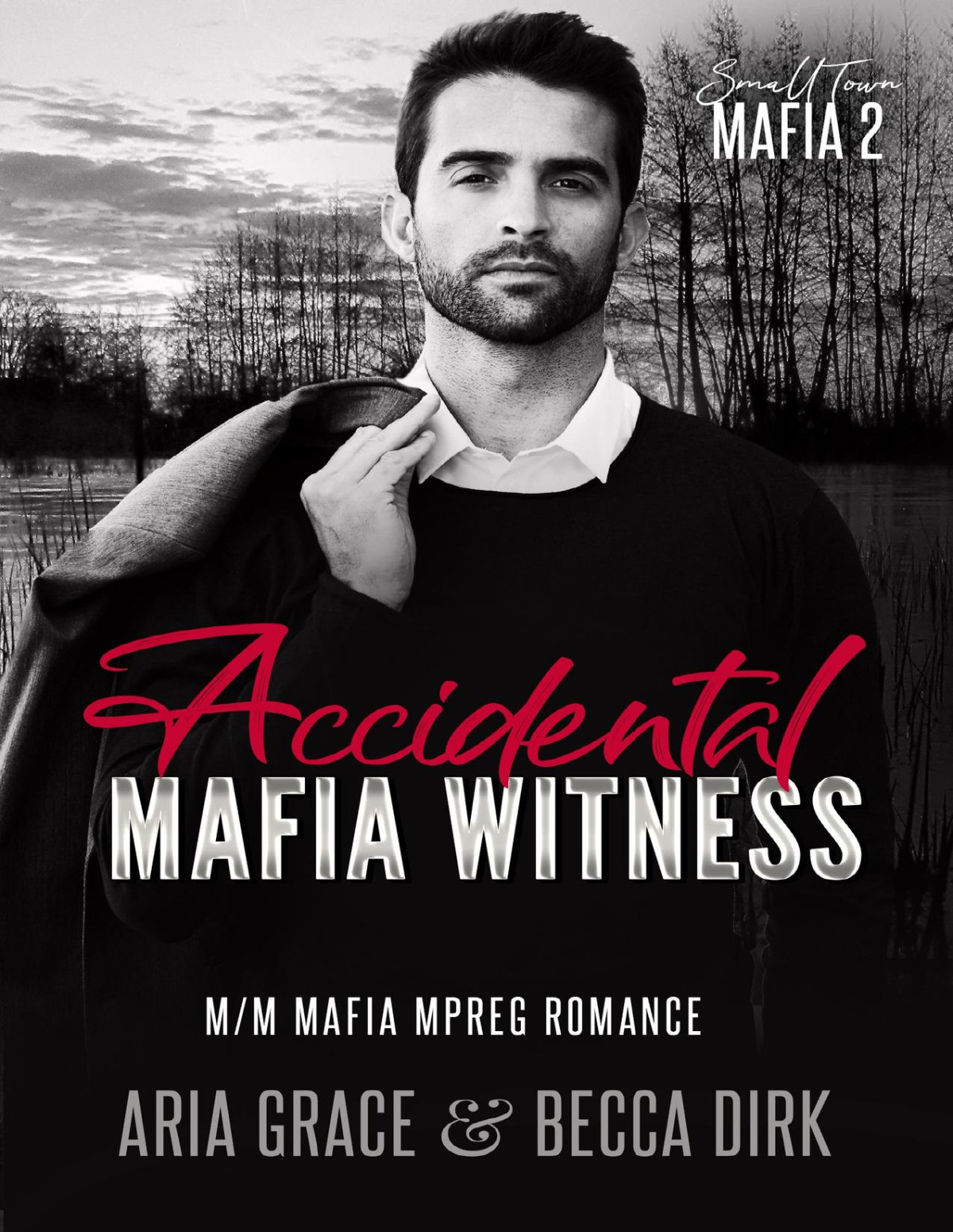 Accidental Mafia Witness Mm Mafia Mpreg Romance Small Town Mafia Book 2 Aria Grace Becca Dirk