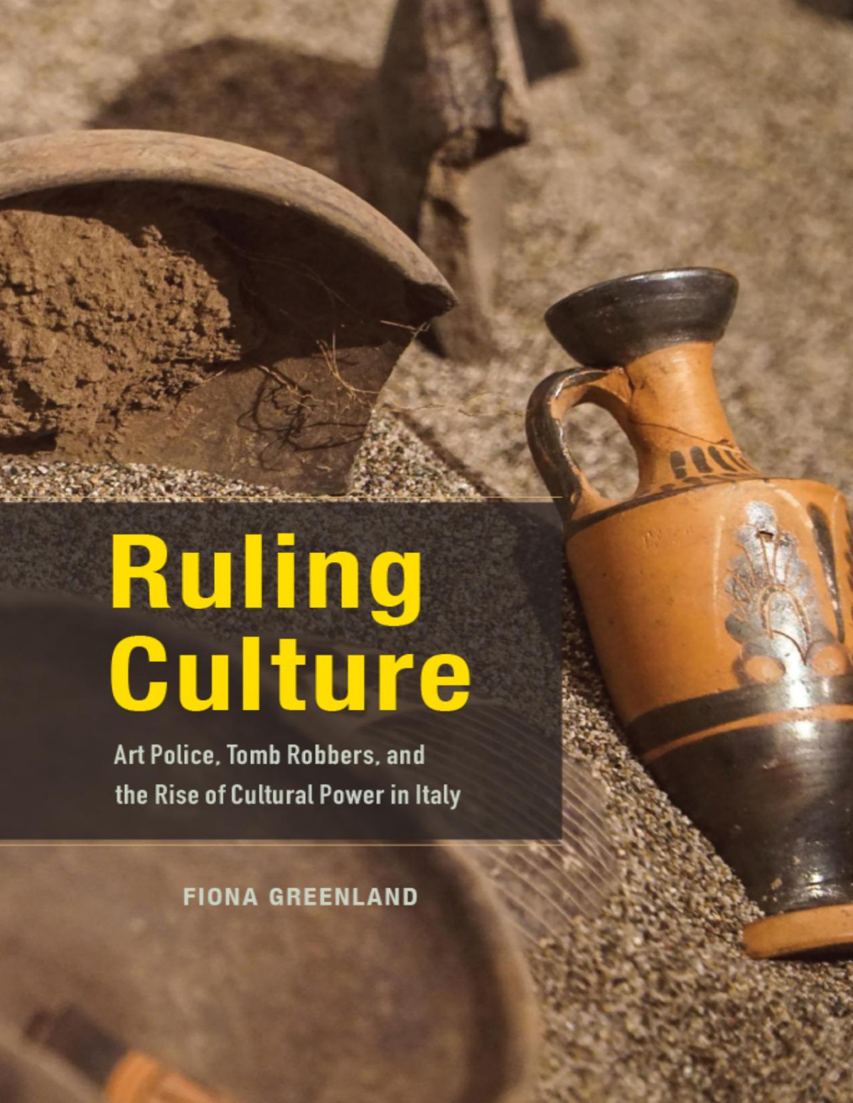 Ruling Culture Art Police Tomb Robbers And The Rise Of Cultural Power In Italy Fiona Greenland