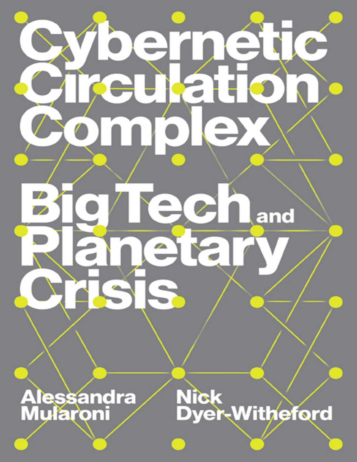 Cybernetic Circulation Complex Big Tech Planetary Crisis Nick Dyerwitheford