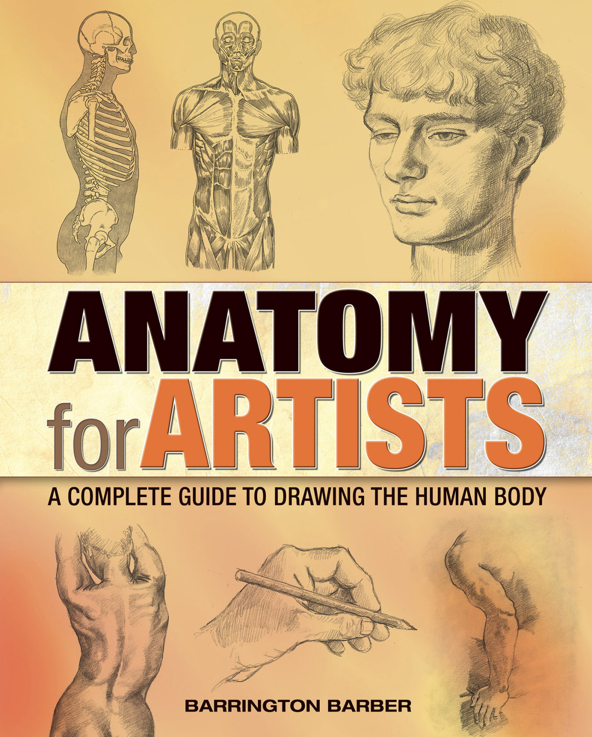 Anatomy For Artists Barrington Barber