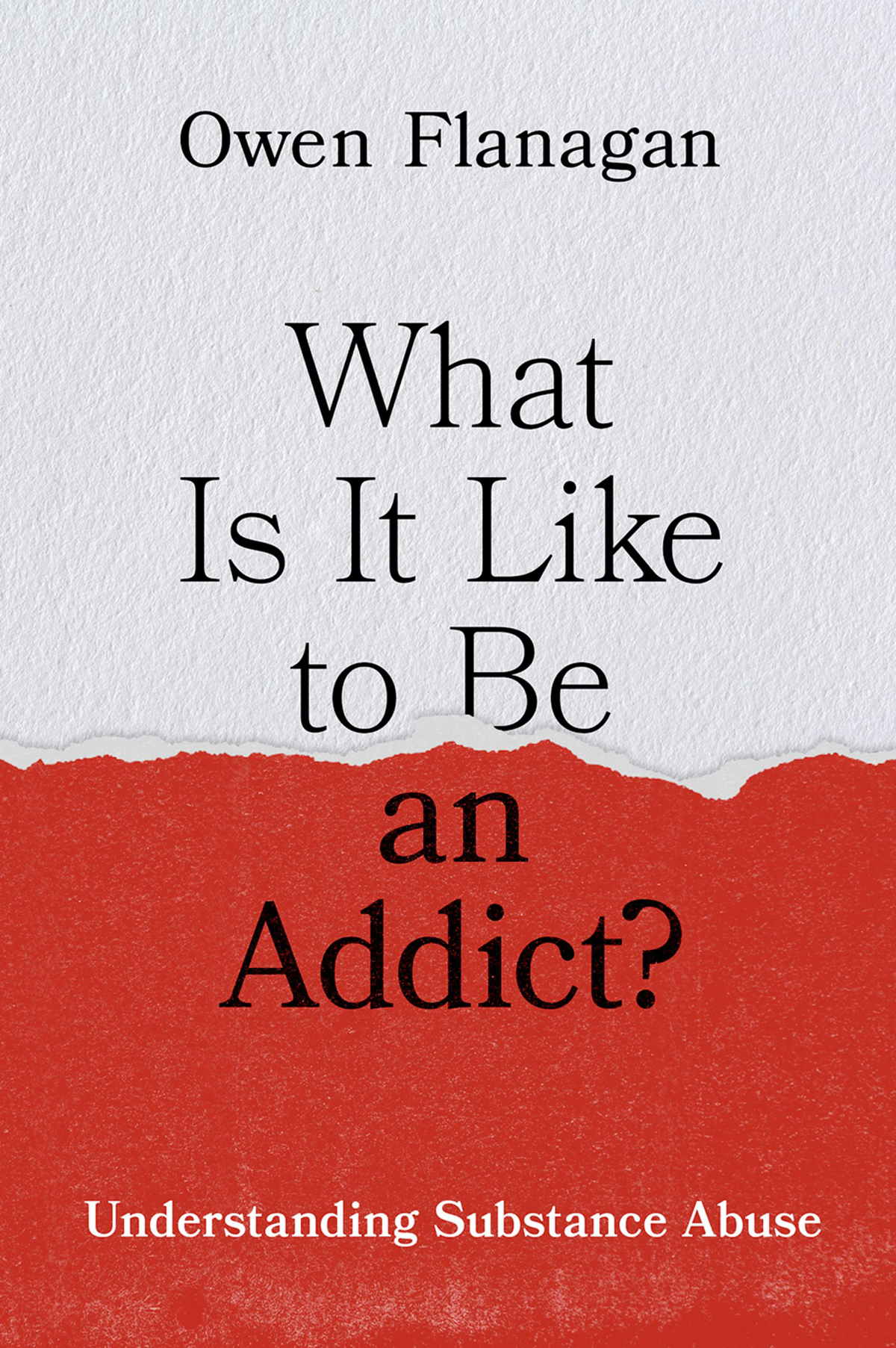What Is It Like To Be An Addict Understanding Substance Abuse Owen Flanagan