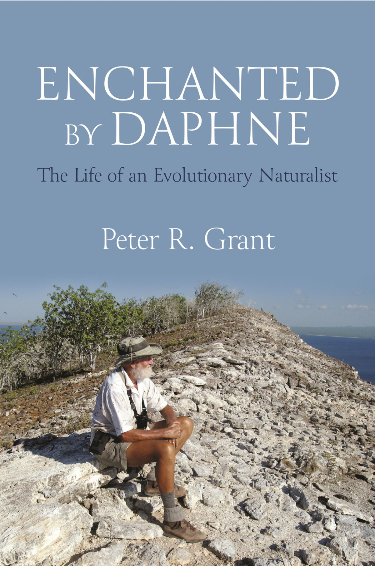 Enchanted By Daphne Peter R Grant