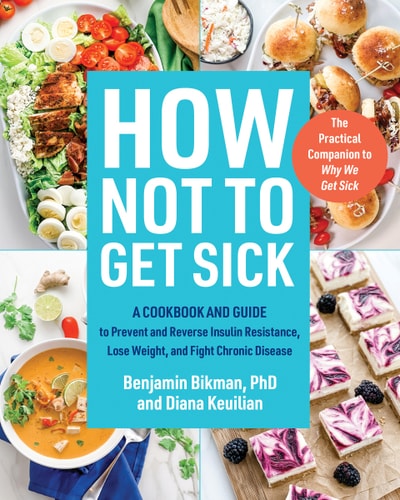 How Not To Get Sick A Cookbook And Guide To Prevent And Reverse Insulin Resistance Lose Weight And Fight Chronic Disease 9th Edition Benjamin Bikman
