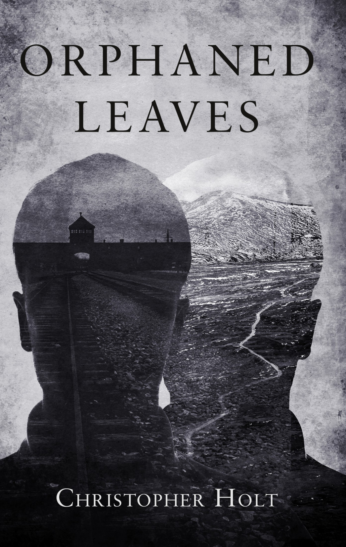 Orphaned Leaves Christopher Holt
